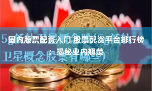 国内股票配资入门 股票配资平台排行榜：揭秘业内翘楚